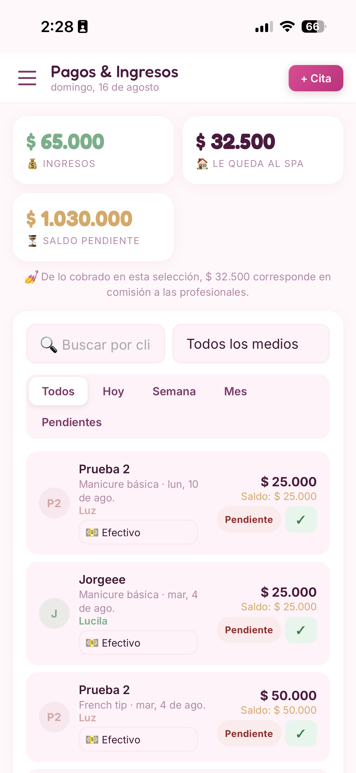 Sección de pagos de Agenda Manicurista en celular